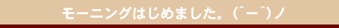 ���[�j���O�͂��߂܂����B